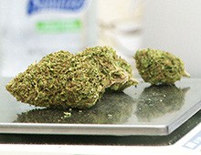 Scottsdale company capitalizes on medical marijuana industry \u2013 Cronkite ...
