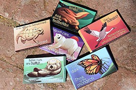 A sampling of this year's endangered species Earth Day condoms from the Center for Biological Diversity. Art is by Shawn DiCriscio and package design by Lori Lieber.