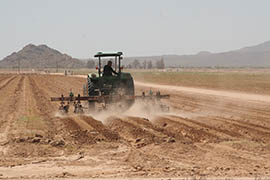 A tractor plows a field in Maricopa.