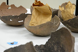Pottery is often found at Native American graves. These were not taken from a gravesite, but represent common utilitary ware.
